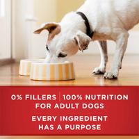 0 % de rellenos y 100 % de nutrición para perros adultos