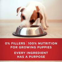 po dog wet pls pup lmb fb4