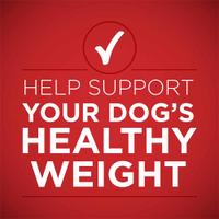 Help support your dog's healthy weight