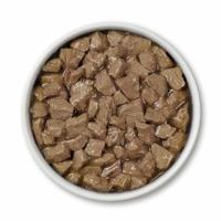 tazón de alimento para perros