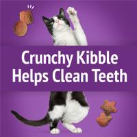 Crunchy Kibble Helps Clean Teeth