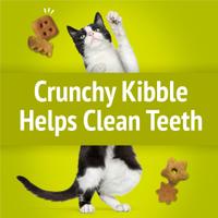 Crunchy Kibble Helps Clean Teeth