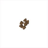 pieces of dry dog food