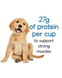 beneful Sano cachorro seco comida proteína perro