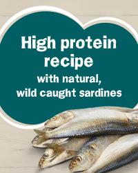 high protein recipe with natural, wild caught sardines