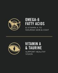 Omega-3 Fatty Acids and vitamin a and taurine to support healthy vision