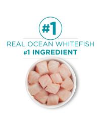 el ingrediente principal es el pescado blanco marino