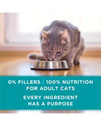 Every ingredient has a purpose