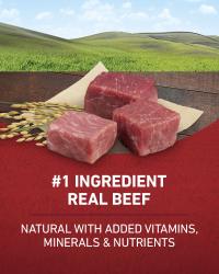 Number 1 ingredient real beef