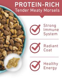 Protein rich tender meaty morsels strong immune system radiant coat healthy energy