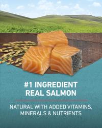 Number 1 ingredient real salmon natural with added vitamins minerals and nutrients