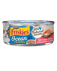 Friskies Ocean Favorites Salmon, Shrimp & Brown Rice in Sauce Wet Cat Food