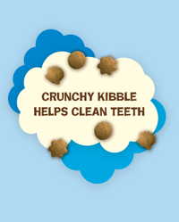Crunchy kibble helps clean teeth