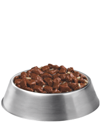 fórmula-para-adultos-sénior-de-plato-de-bocados-de-carne-de-res-y-arroz-para-pro-plan-focus