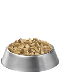 plato-de-arroz-con-trozos-de-pollo-para-adultos-de-razas-grandes-pro-plan-focus