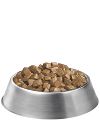 Plato de alimento húmedo para perros