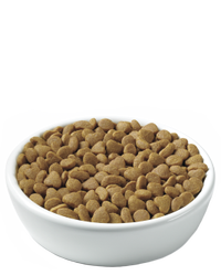 pro-plan-focus-urinary-tract-health-kibble