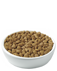 croquetas-para-la-salud-de-las-vías-urinarias-pro-plan-focus