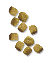 croquetas-para-adultos-de-razas-miniatura-pro-plan-focus