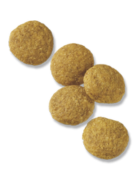 Focus para adultos de razas grandes