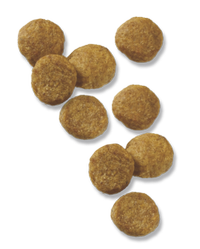 croquetas-de-cordero-y-arroz-para-cachorros-pro-plan-focus