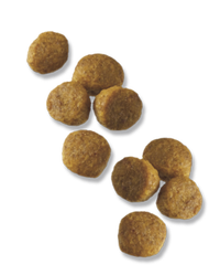 croquetas-pollo-arroz-para-cachorros-razas-pequeñas-pro-plan-focus