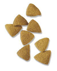 Croquetas Pro Plan Sport 26-16