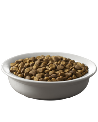 croquetas-de-pollo-y-arroz-para-gatos-adultos-pro-plan-savor