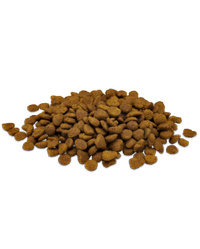 Recipiente de alimento seco para gatos de salmón y arroz Pro Plan Prime Plus