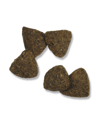 croquetas-de-salmón-y-arroz-para-adultos-con-piel-y-estómago-sensibles-pro-plan-focus