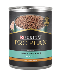 Alimento húmedo Purina Pro Plan clásico para cachorros en desarrollo sin cereales con sabor a pollo