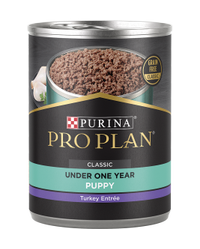Alimento húmedo Purina Pro Plan clásico para cachorros en desarrollo sin cereales con sabor a pavo