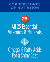 los pilares de la nutrición, las 25 vitaminas y minerales esenciales, ácidos grasos omega 6 para un pelaje brillante