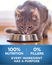 100% Nutrition 0% fillers