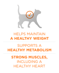 Ayuda a mantener un peso saludable. Contribuye a un metabolismo saludable. Músculos fuertes y corazón saludable