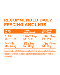 Recommended daily feeding amounts chart
