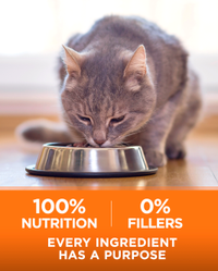 100 % de nutrición. 0 % de rellenos. Cada ingrediente tiene un propósito.