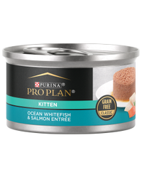 alimento húmedo para gatos pro plan kitten grain free con pescado blanco marino y salmón