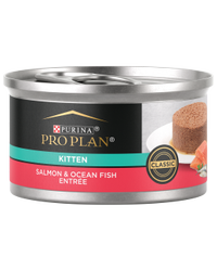 alimento húmedo para gatitos pro plan de carne de salmón y pescado marino