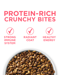 Protein rich crunchy bites