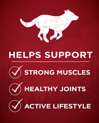 helps support strong muscles, healthy joints and active lifestyle