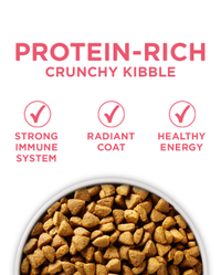 Protein rich crunchy kibble