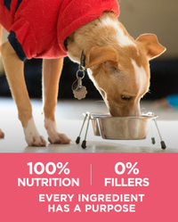 100 % de nutrición y 0 % de rellenos