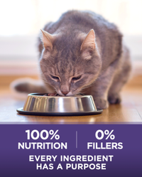 cada ingrediente tiene un propósito