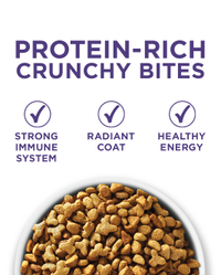 bocados crocantes ricos en proteínas