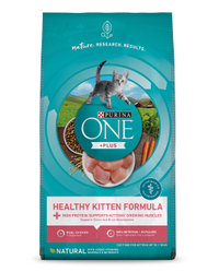 Purina one health kitten food