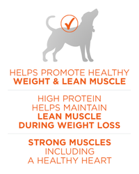 helps promote healthy weight and lean muscle