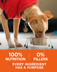 100 percent nutrition, 0 percent fillers, every ingredient has a purpose