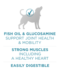 fish oil and glucosamine support joint health and mobility