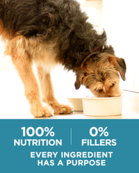 100 percent nutrition, 0 percent fillers, every ingredient has a purpose